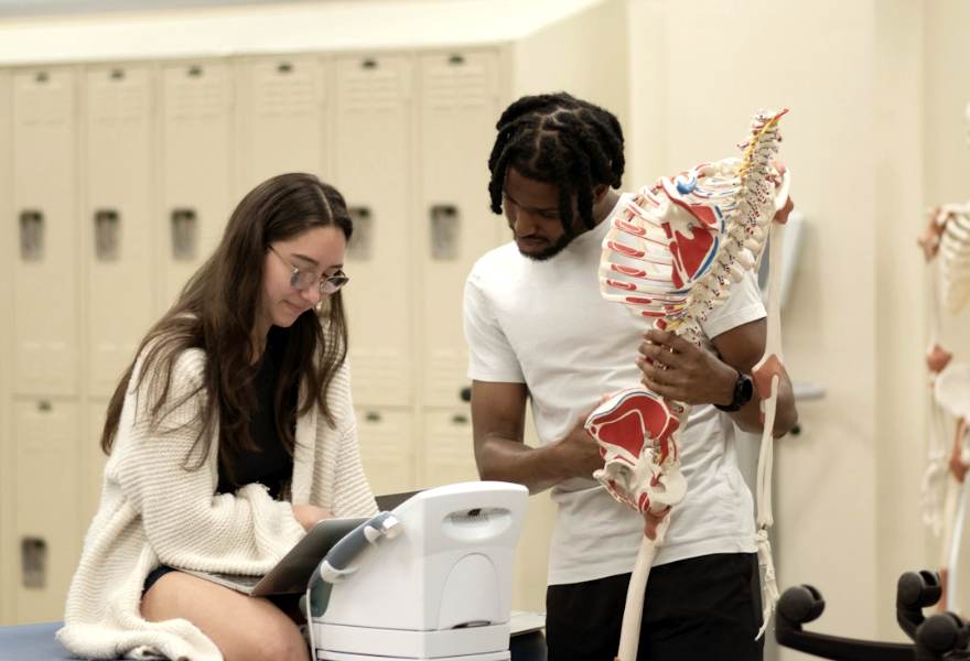 Two students studying an anatomy model of the spine
