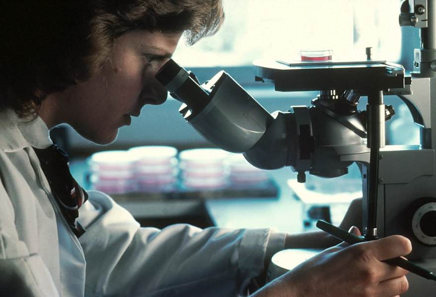 A researcher looking through a microscope